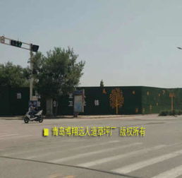 新闻 洋县围挡草坪图片 15mm加密成功案例 浠水 石台 忻州