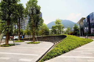 铁汉工匠丨园林工程质量通病 绿化篇之 十 种植穴 槽 积水