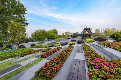【喜报】热烈祝贺公司两大项目荣获2019年度省“优秀园林工程”金奖荣誉