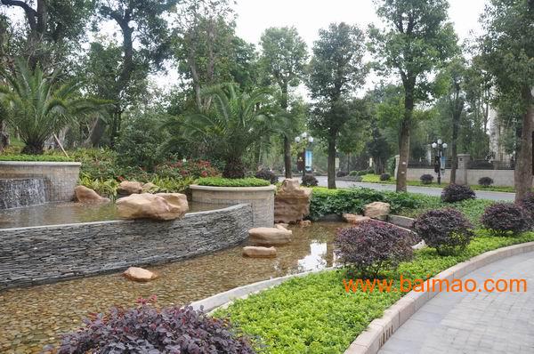 南宁园林景观 大型景观绿化工程公司,南宁园林景观 大型景.