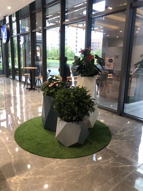 图 别墅庭院花园设计施工园林园艺设计绿化工程养护 上海鲜花绿植